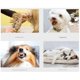 thumbnail image 5 of Dog Comb with Open Knot, Hair Removal Comb for Pet Black, 5 of 5