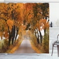 thumbnail image 1 of Ambesonne Fall Shower Curtain, Serene Vivid Maple Trees, 69"Wx75"L, Orange Brown Green, 1 of 3