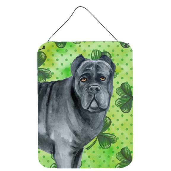 Carolines Treasures BB9868DS1216 Cane Corso St Patricks Wall or Door Hanging Prints Green 12WX16H multicolor