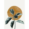 thumbnail image 3 of The Miuus Studio 11x14 Black Modern Framed Museum Art Print Titled - Sun and Ficus, 3 of 5