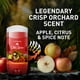 thumbnail image 5 of Old Spice Wild Collection Bearglove Desodorante para hombre, 3 onzas, 5 of 11