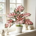thumbnail image 5 of Lifelike Monstera Foliage Potted Decor, Elegant Desktop Faux Foliage Ornament, Modern Indoor Aesthetic Accent for Household Living Area, Working Space and Bedroom Decoration, 5 of 6