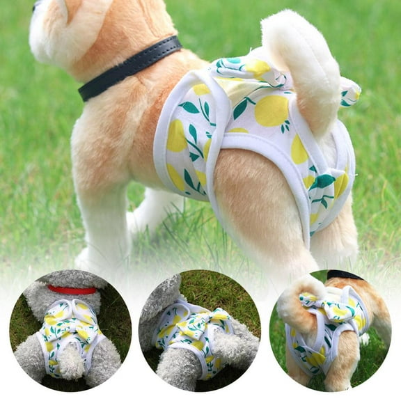 BETTERLIFE Physiological Pants for Dogs Pet Diapers Female Sanitary Pants Dog Wash Nice A6 X4O6