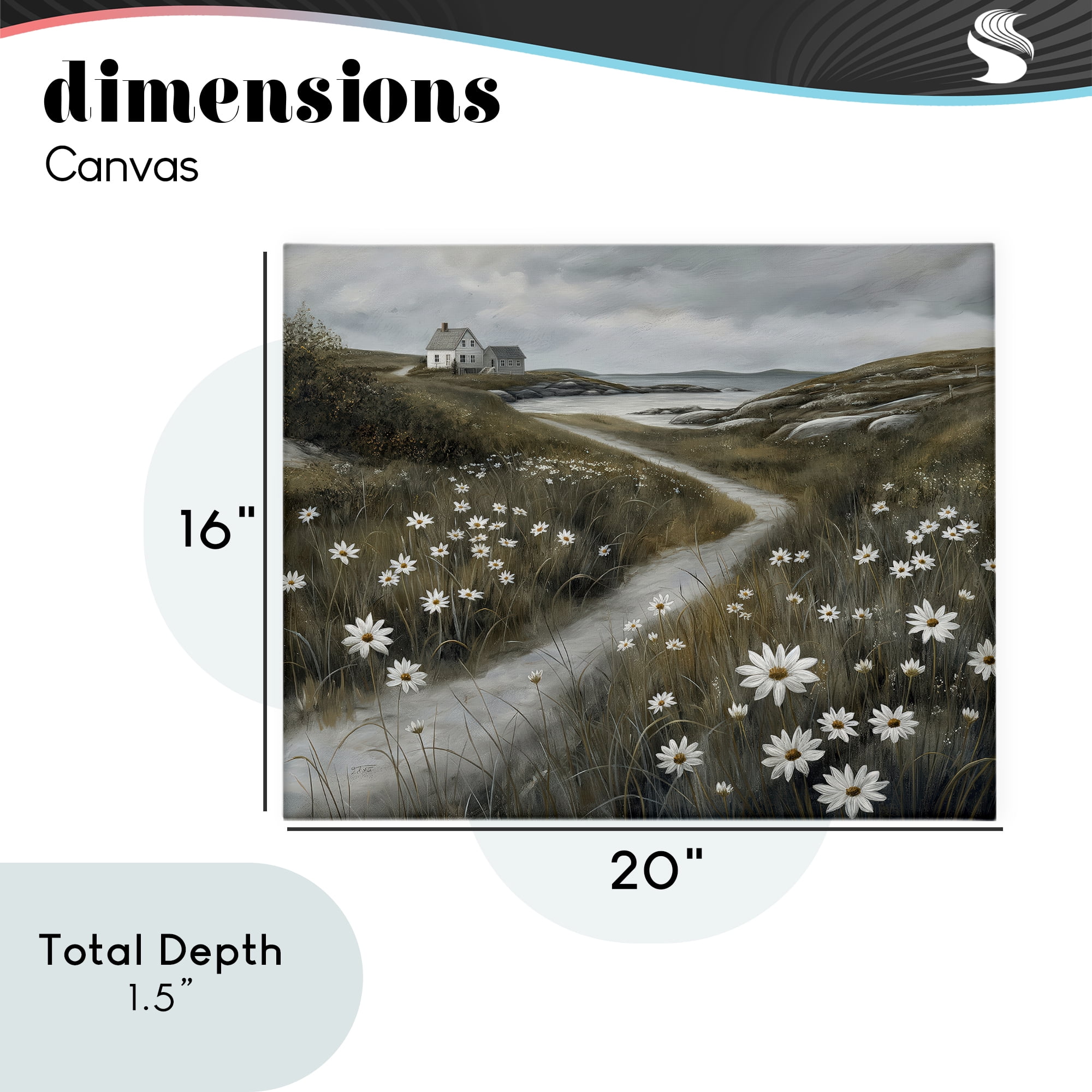 Stupell Industries Daisies Along Coastal Path Canvas Wall Art, design by Imagine It Images