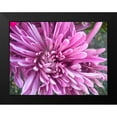 thumbnail image 2 of Grayscale 14x12 Black Modern Framed Museum Art Print Titled - Pink Flowers I, 2 of 5