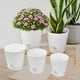 thumbnail image 1 of Macetas de riego automático perfecl 5 piezas blancas para jardín y decoración del hogar, 1 of 8