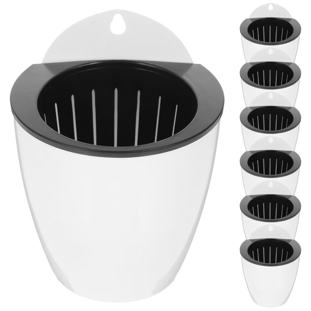BRIGHTFUFU S.COPTOR DE SOLTER AUTADO 7 PPC SEÑOR DE FLOR CHORLE PETA Suculenta