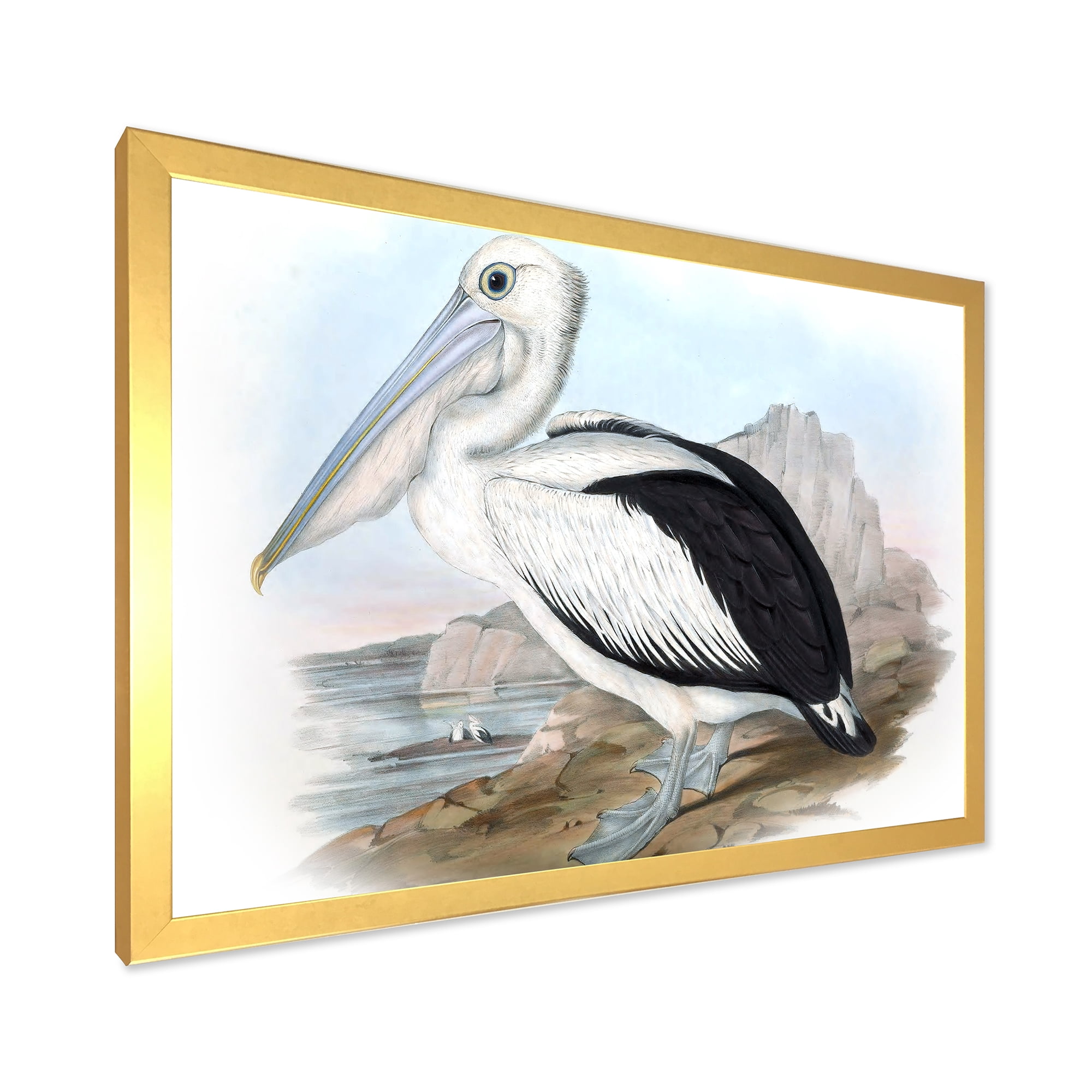 Designart 'Ancient Australian Birds VIII' Traditional Framed Art Print