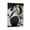 Frame-style, variant on Posters Painter Joan Miró Woman And Birds in The Night 1 Abstract Wall Art Picture Painting Print Artworks Decor 12x18inch(30x45cm)