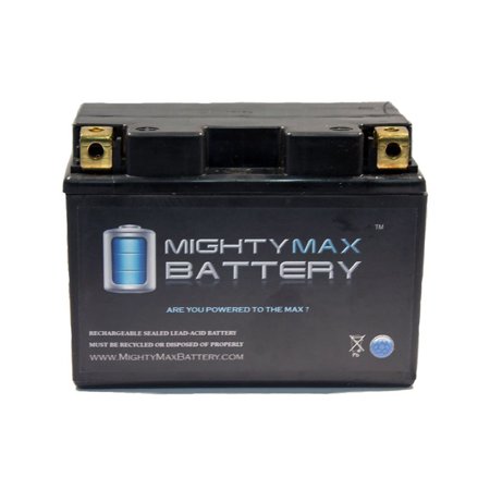Аккумулятор skyrich ytz14s
