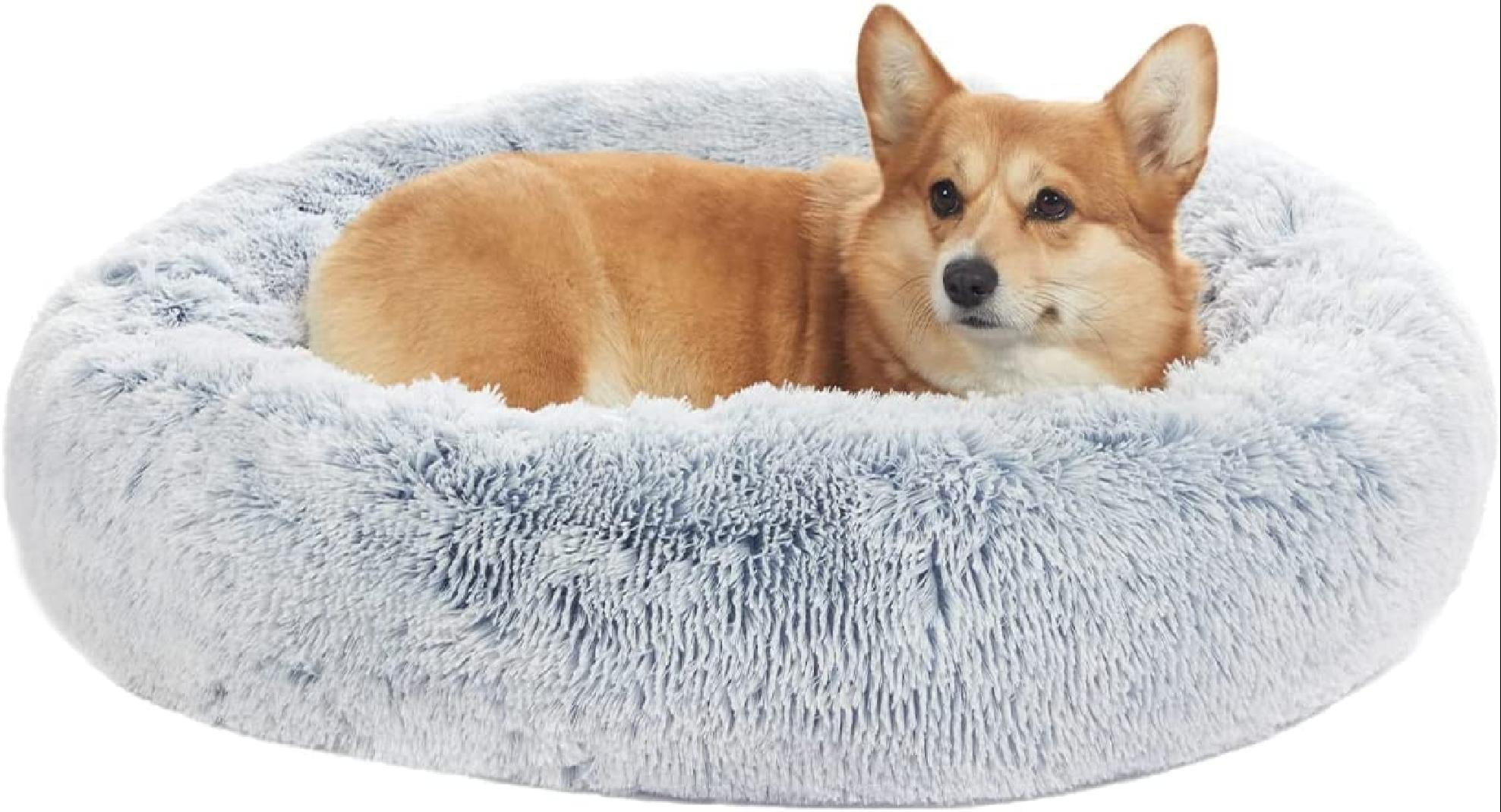 anxiety beds for large dogs