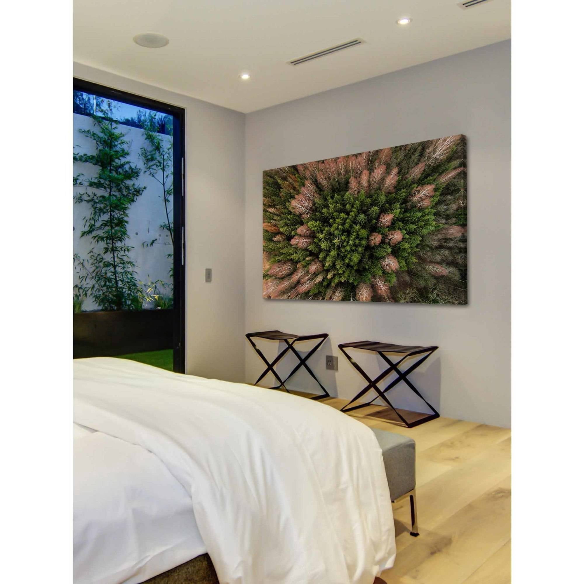 Marmont Hill "Feather Trees" by Karolis Janulis Painting Print on Wrapped Canvas