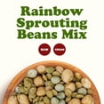 thumbnail image 4 of Rainbow Sprouting Beans Mix, 1 Pound — Kosher, Sproutable — by Food to Live, 4 of 8
