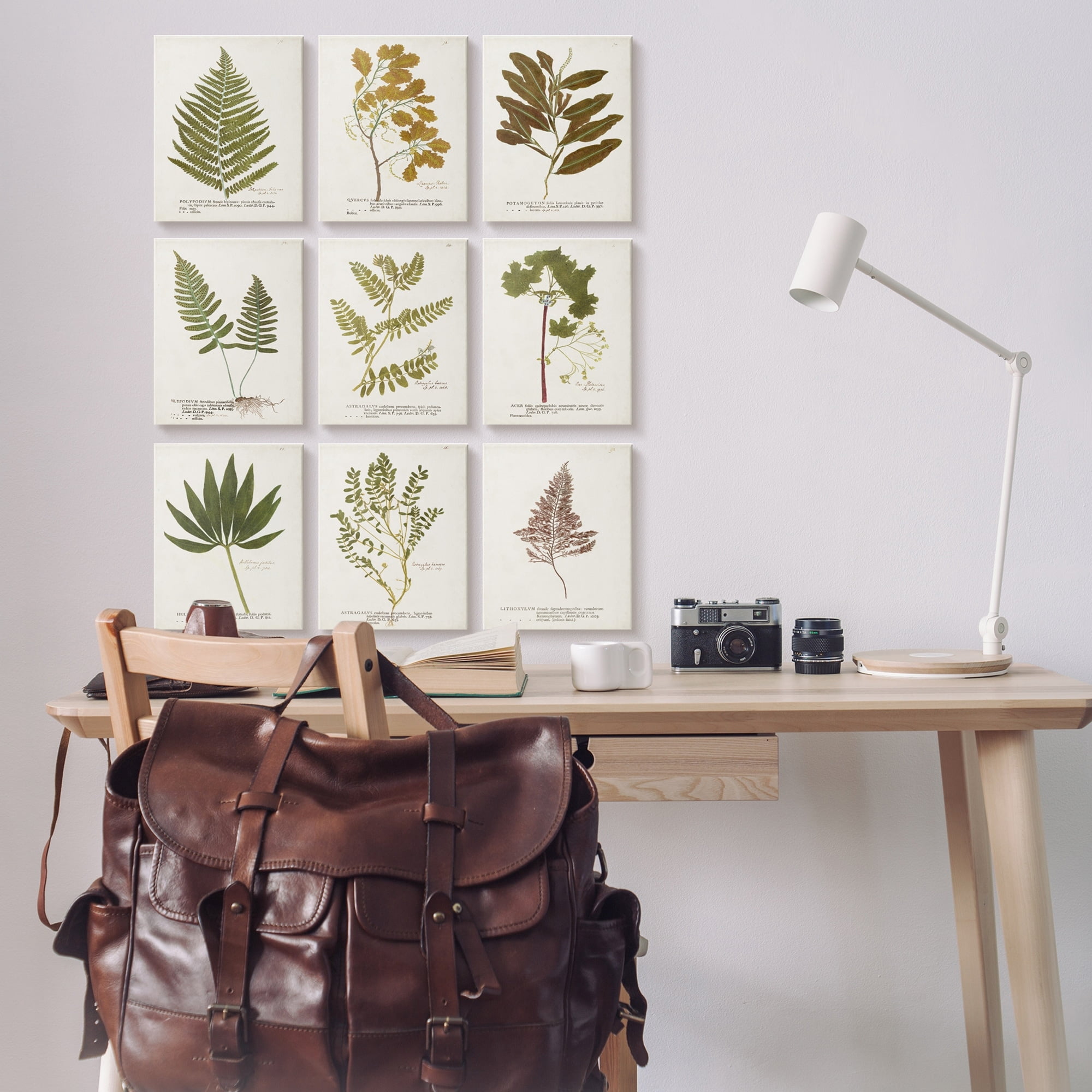 Stupell Industries Delicate Pressed Botanicals Vintage Plant Leaf Study Drawings Gallery-Wrapped Canvas Print Wall Art Set of 9, 11x14, by World Art Group