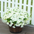 thumbnail image 4 of Wall Decor,Simulation Flower Plant Wall Ornament Realistic Lifelike Appearance Versatile Multi-Scene Use,Festive Decor for Living Room Bedroom Office Home Decors Wall Interior Decoration, 4 of 6