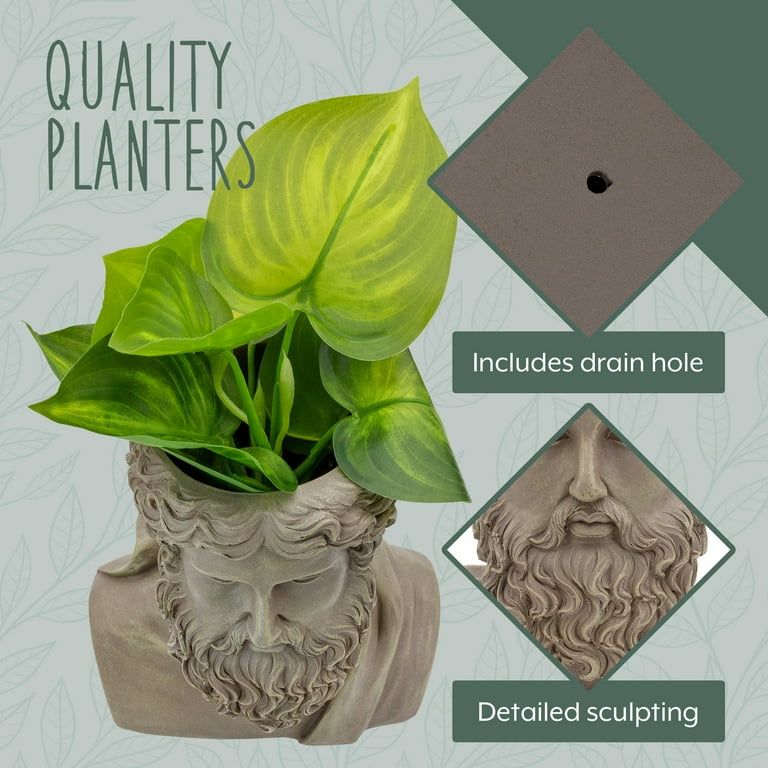 Esterno Greek God Zeus Planter Pot (Large Size); Garden Decor Statue Head  Planter - Walmart.com