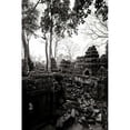 thumbnail image 3 of Berzel, Erin 13x18 Black Modern Framed Museum Art Print Titled - Ancient Ta Prohm IV, 3 of 5