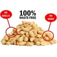 Backyard Seeds Shelled Whole Peanut Pickouts for Woodpeckers, Birds