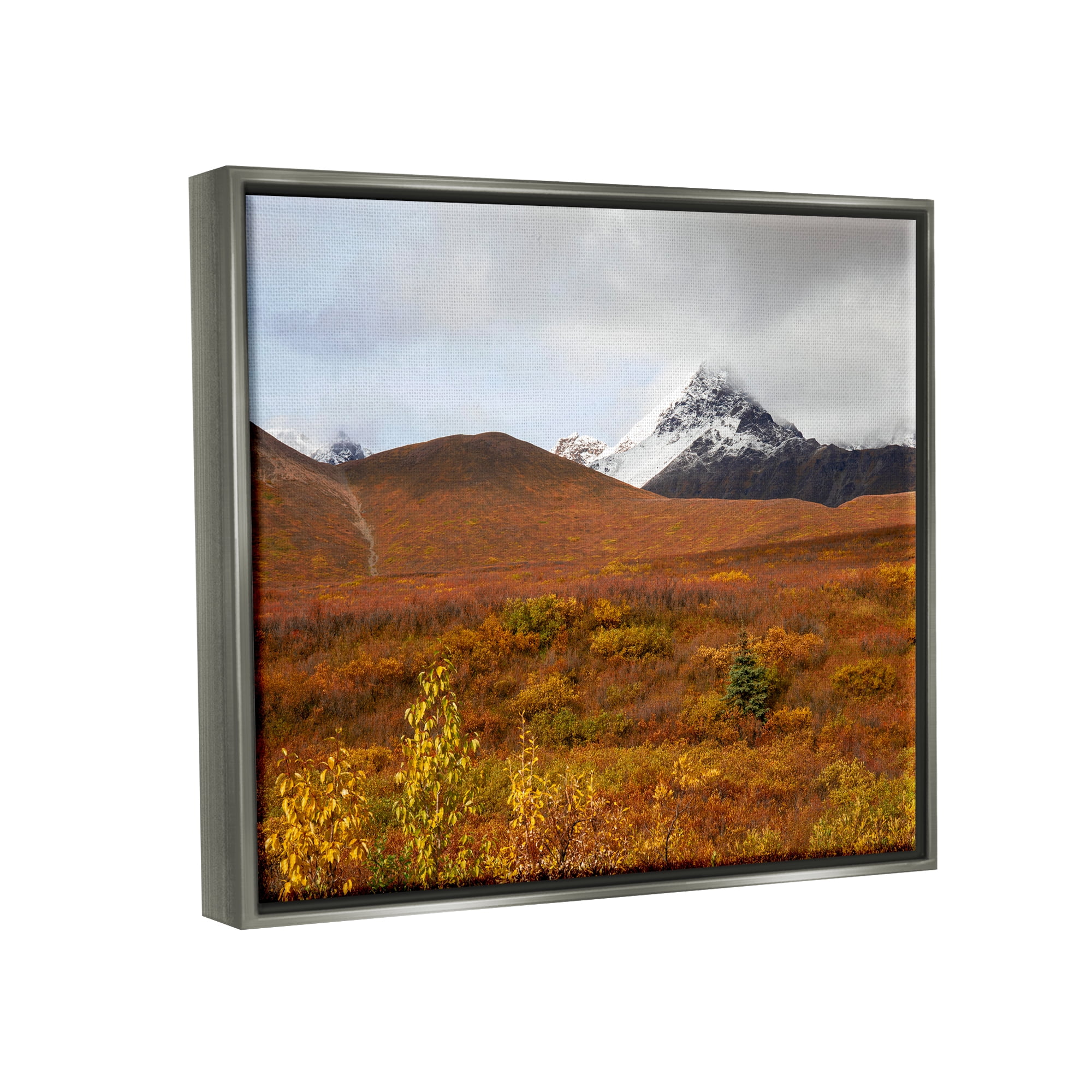 Stupell Industries Meadow with Distant Peak Landscape Photography Gray Floater Framed Canvas Art Print Wall Art, 21 x 17
