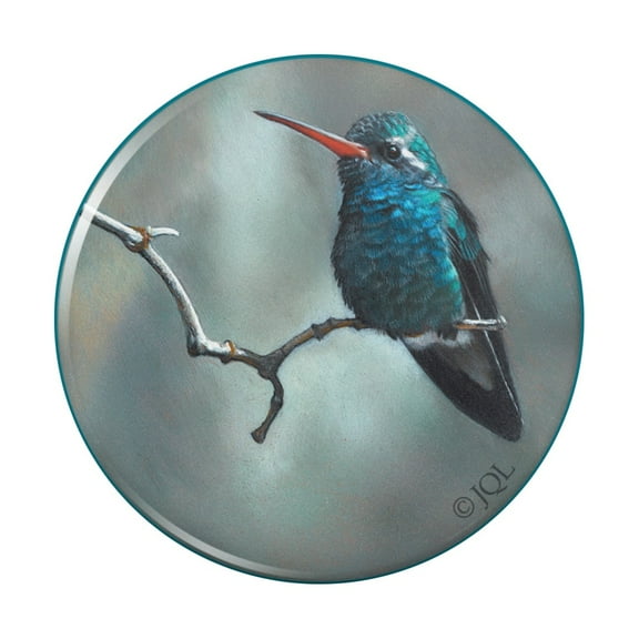 Broad-Billed Hummingbird Resting on Branch Pinback Button Pin