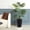 Black, variant on Set of 2 Tall Self-Watering Planters – 16" & 22" Large Indoor/Outdoor Flower Pots – Built-in Drainage, Water Level Gauge & Inner Bucket – Modern Decorative for Garden, Patio, Porch, Living Room
