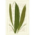 thumbnail image 3 of Vision Studio 17x24 Black Modern Framed Museum Art Print Titled - Garden Ferns VI, 3 of 5