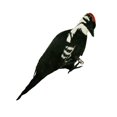 thumbnail image 2 of jinwen Simulation , Handcrafted Spring Scarecrow Artificial Gift Feather Art Sculpture, 2 of 9