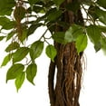 thumbnail image 3 of Nearly Natural 7.5' Ficus Artificial Tree UV Resistant (Indoor/Outdoor), 3 of 5