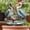White, variant on Clearance Sale! Birds Symbolizes Acrylic Garden Potted Decoration Props Inserted Ornaments. Card Slot Practical Home Decor 7.9" X 11.8"