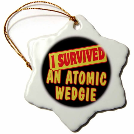 3dRose I Survived An Atomic Wedgie Survial Pride And Humor Design - Snowflake Ornament,
