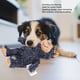thumbnail image 3 of Juguete de Molienda de Dientes de Primera para Razas de Perros Grandes Oso de Peluche Duradero Cuidado Dental y Alivio de la Ansiedad ANGGREK  Otros, 3 of 8