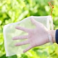 thumbnail image 1 of Bolsa de malla protectora de red de frutas para plantas de jardín para prevenir insectos plagas de aves - Blanco 5PCS 15 * 25CM Kuyhfg Bienvenido a Kuyhfg, 1 of 5