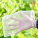 thumbnail image 1 of Bolsa de malla protectora de red de frutas para plantas de jardín para prevenir insectos plagas de aves - Blanco 100PCS 10 * 15CM Kuyhfg Bienvenido a Kuyhfg, 1 of 5