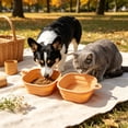 thumbnail image 7 of Aoznliie Collapsible Dog Bowls, 2 in 1 Foldable Silicone Dog Bowl for Travel, 6x5x1 inch Portable Dog Water Bowl for Hiking, Yellow, 7 of 7