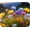Wildflowers MP98, variant on Floral Pattern Flower Mouse Pad Mat Mousepad for Desk Computer Laptop PC Gaming Home or Office Gift for Her Flowers