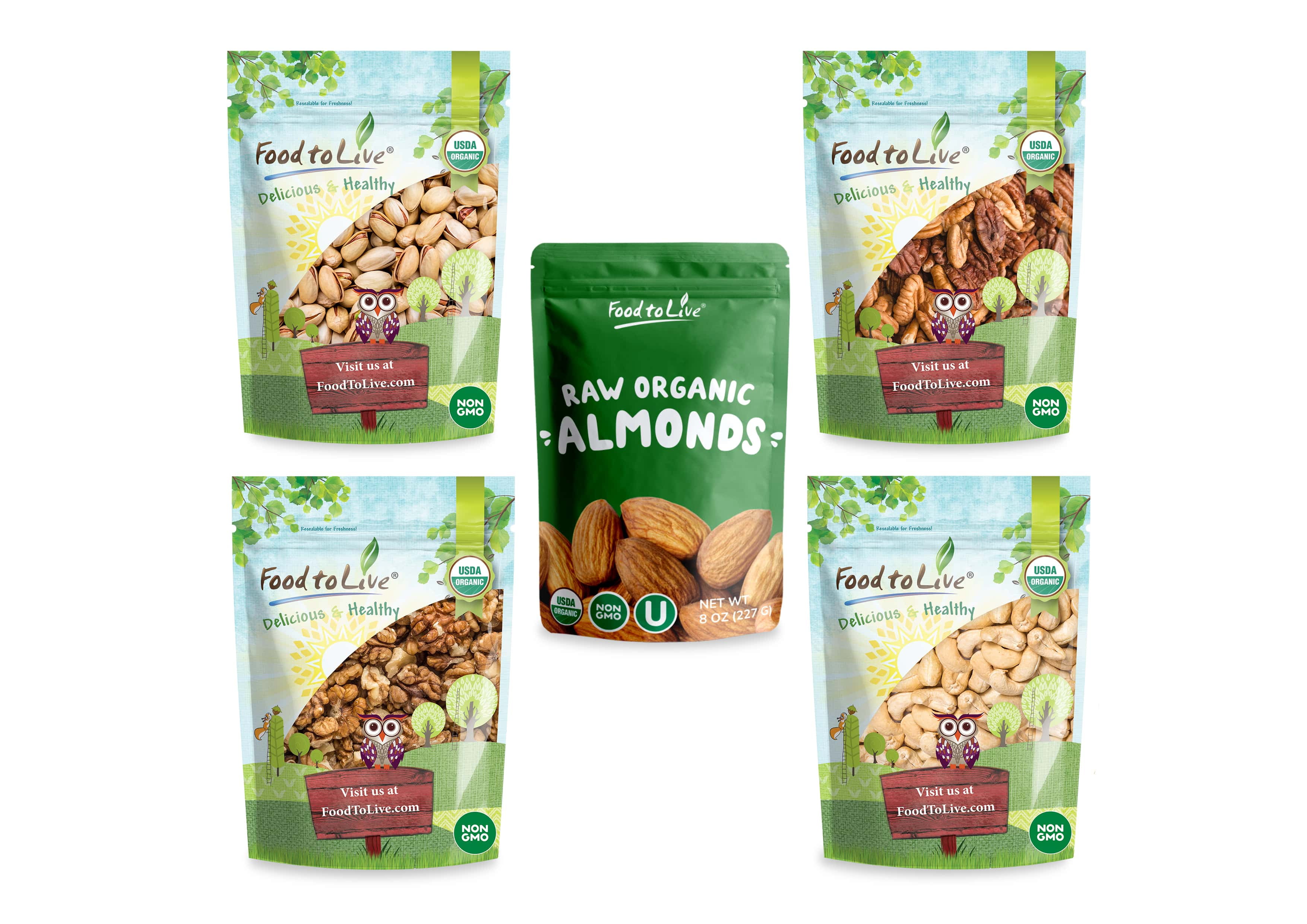 Organic Brain Healthy Nuts Gift Box - Pecans, Walnuts, Almonds, Pistachios, Cashews - by Food to Live
