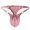 Pink, variant on Lingerie for Women Men’s Ring Hollow Design Solid Color Thong Underwear for Everyday Comfort and Confidence Blue One Size