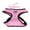 Pink, variant on LucyBelle Pets Nylon Mesh Comfort Padded Pet Harness and Lead