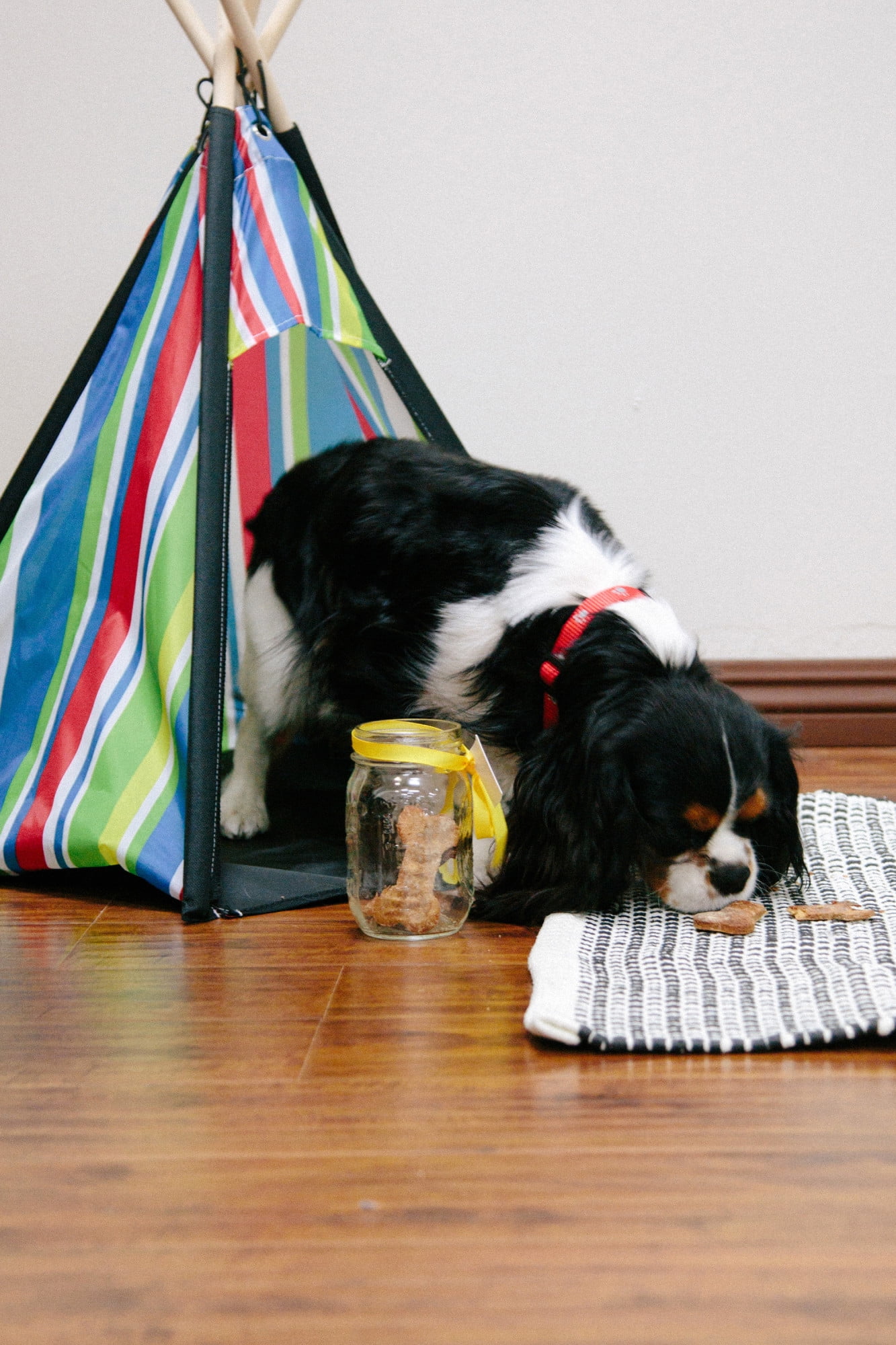 Pacific Play Tents Cozy Pet Teepee Dog Tent House Small Wood Green Yellow All Lifestages