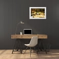 thumbnail image 3 of Hausenflock, Alan 24x17 White Modern Wood Framed Museum Art Print Titled - Covington Woods I, 3 of 4