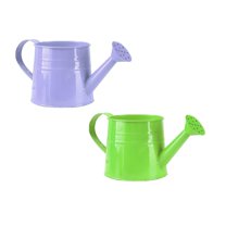 Metal Watering Can Modern Style Watering Pot with Handle and Rosehead, Watering Pot for Outdoor and Indoor House