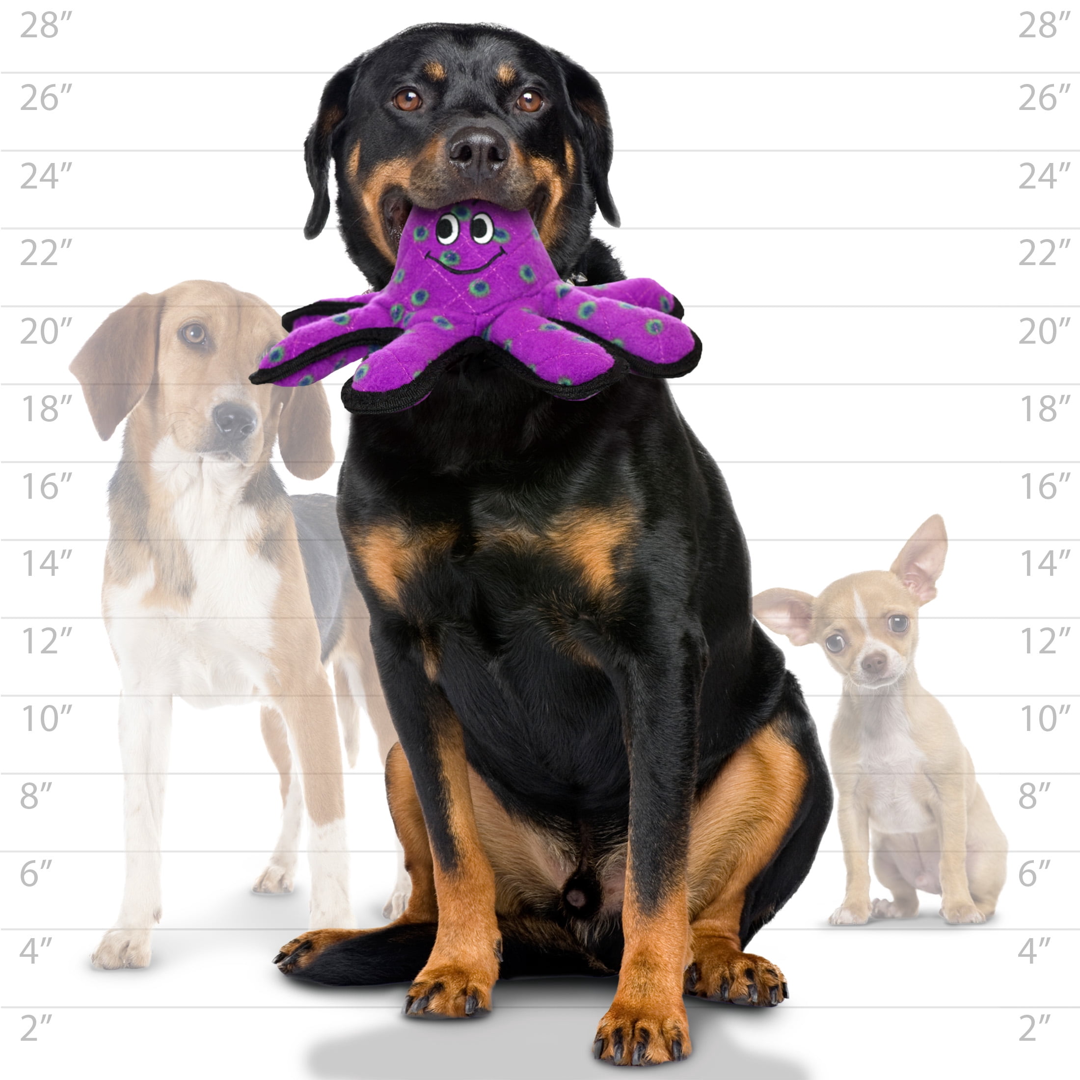 Tuffy Ocean Creature Small Octopus Durable Plush Squeaky Dog Toy