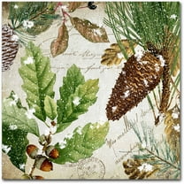 Trademark Fine Art "Snow Cones II" Canvas Art by Color Bakery