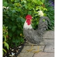 thumbnail image 2 of Murray Rooster Decor - Preening, 2 of 4