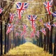 thumbnail image 4 of Guirnalda ZHAOCHENG de 50 banderines triangulares de plástico con bandera británica 16m, 4 of 5