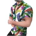 thumbnail image 1 of Camisa de playa hawaiana para hombre Camisa bohemia de verano Pompotops oipoqjl45131, 1 of 6