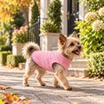thumbnail image 3 of Dog Sweater with Leash Ring Winter Warm Pet Sweater Thick Clothes Coat Dog Sweaters for Small Medium Dogs Girl Boy, 3 of 5