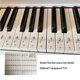thumbnail image 4 of Greeniant Pegatina de Piano, pegatinas finas para teclado, notas de pentagrama sin pegamento, mano de obra de seguridad, suministros de formación Accesorios para instrumentos musicales Greeniant  OD028671-01, 4 of 6