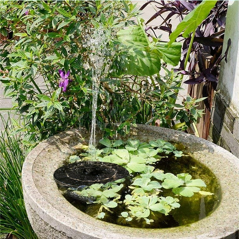Outdoor patio aquarium online