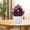 A632 SSZMDLB under $5, variant on SSZMDLB under $5 Fake Flowers Simulation Plants Potted Decor for Indoor Home Table Desk Shelf Living Room Office Wedding Party Centerpiece Decoration Gift Housewarming